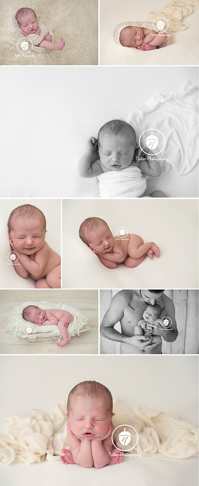 NH Newborn Photographer