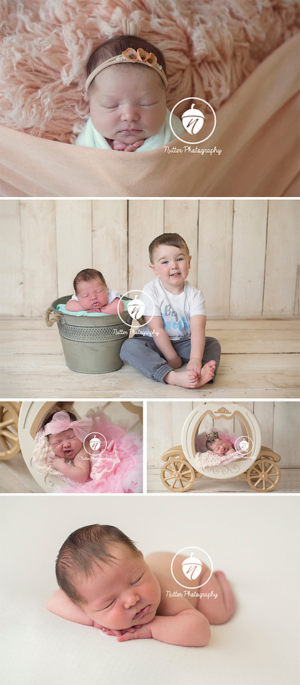 NH Newborn Photographer