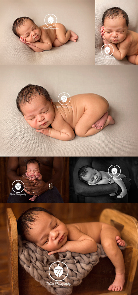 NH Newborn Photographer