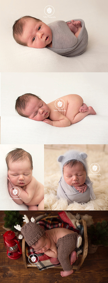 NH Newborn Photographer